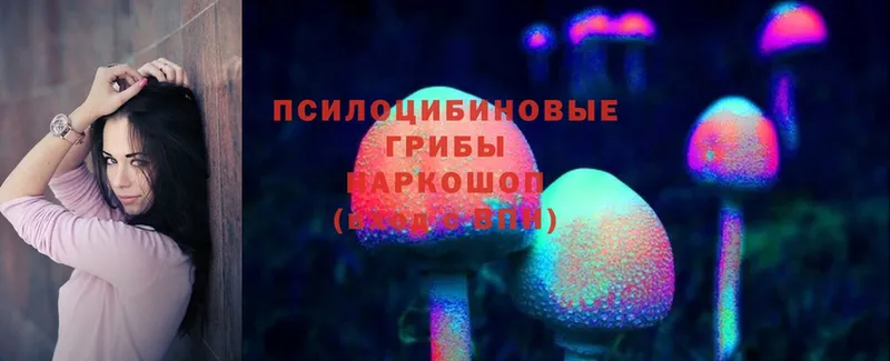 Псилоцибиновые грибы Psilocybine cubensis  кракен ссылки  Шимановск 